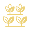 Crop Crop